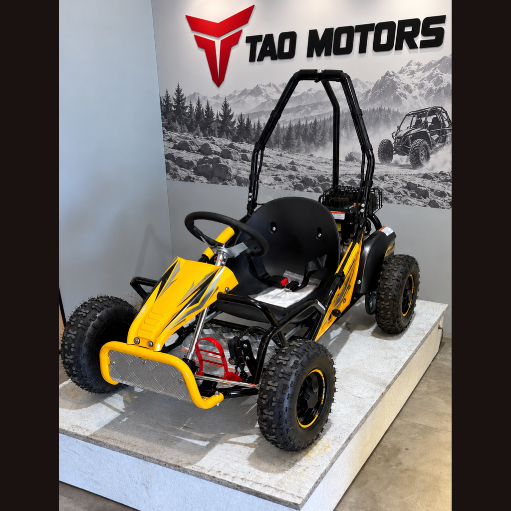 Tao Motors GK100 Kids Go Kart